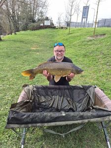 Common Carp
