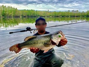 Smallmouth Bass
