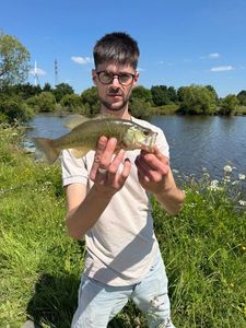 Smallmouth Bass