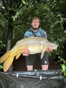 Leather Carp