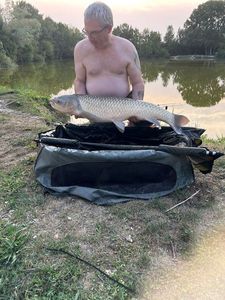 Grass Carp