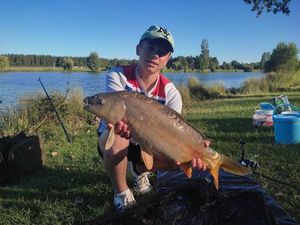 Mirror Carp