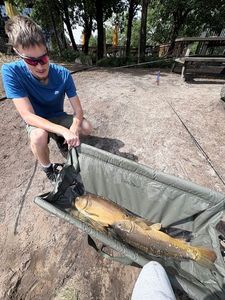 Mirror Carp