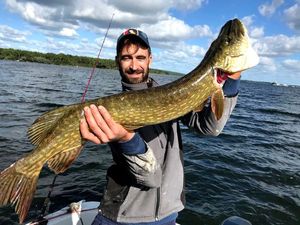 Northern Pike