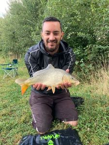 Common Carp
