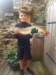Northern Pike