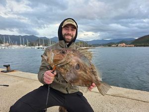 John Dory
