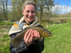 Tench
