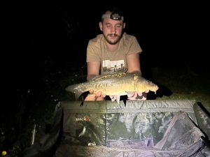 Mirror Carp