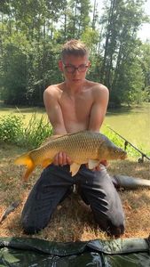Common Carp