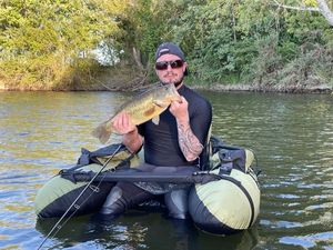 Largemouth Bass