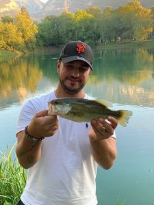 Smallmouth Bass