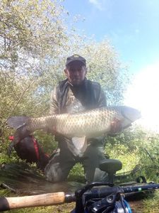 Grass Carp
