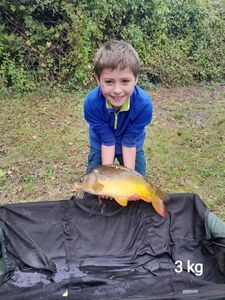 Mirror Carp