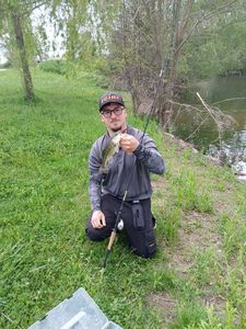 Largemouth Bass