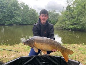 Mirror Carp