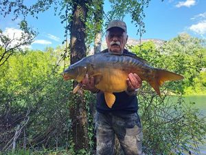 Mirror Carp