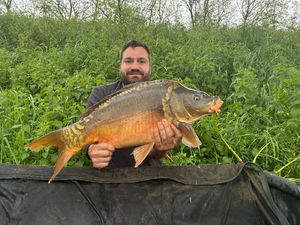 Mirror Carp