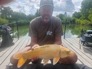 Koï Fish