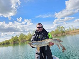 Northern Pike