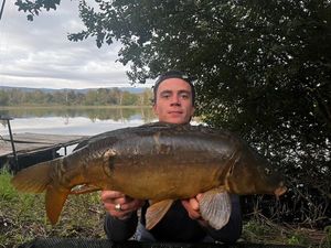 Mirror Carp