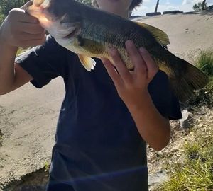Smallmouth Bass