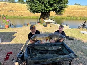 Common Carp