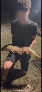 Mirror Carp