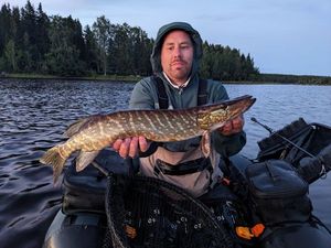 Northern Pike