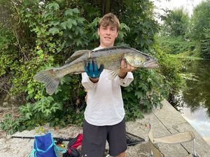 Zander