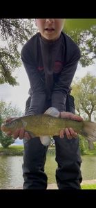Tench