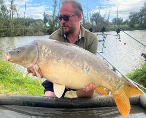Mirror Carp