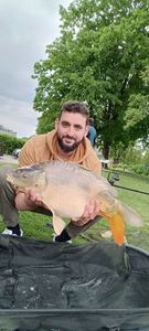 Mirror Carp