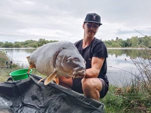 Mirror Carp