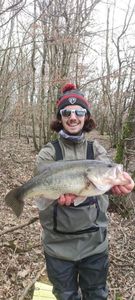 Largemouth Bass
