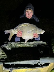 Mirror Carp