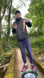 European Perch