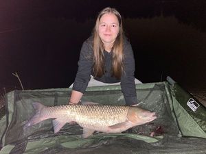 Grass Carp