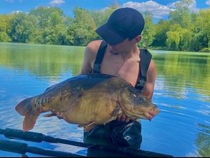 Mirror Carp