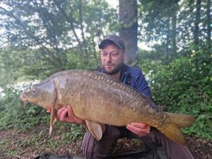 Mirror Carp