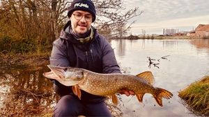 Northern Pike