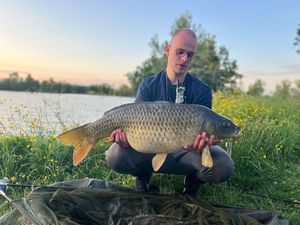 Common Carp