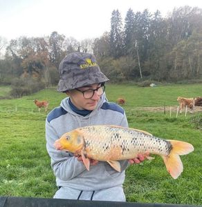 Koï Fish