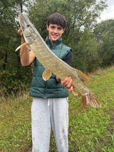 Northern Pike