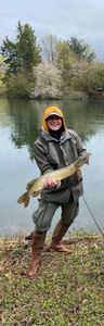 Chain Pickerel