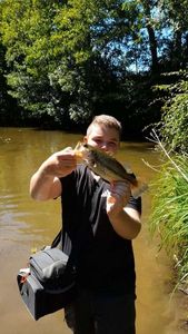 Largemouth Bass