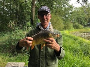 Mirror Carp