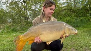 Mirror Carp