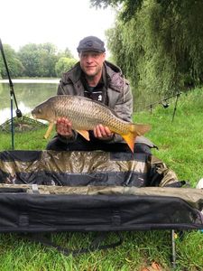 Common Carp