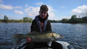 Zander